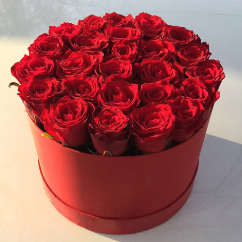 [تصویر:  flower-box-rose-12.jpg]