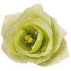 گل لیسیانتوس سبز
