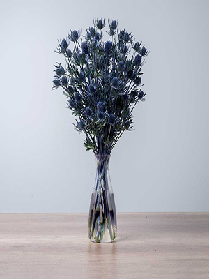 گل خشک شقاقل آبی